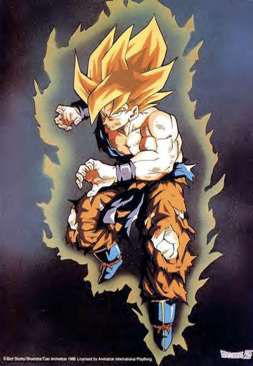 Otaku Gallery  / Anime e Manga / Dragon Ball / Personaggi / Goku / 026.gif